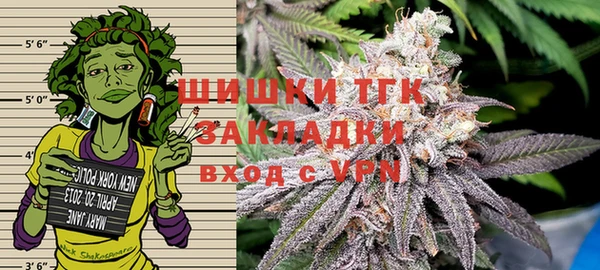 амф Надым