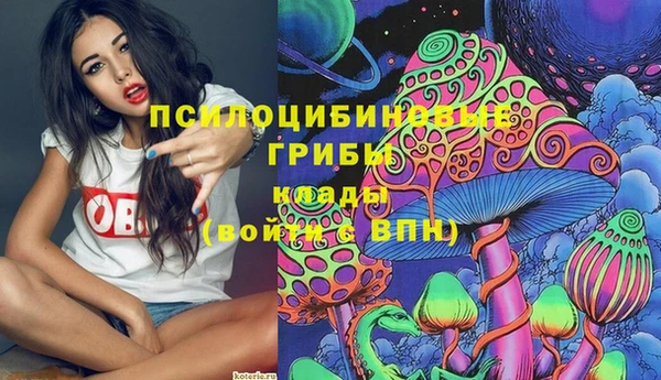 амф Надым