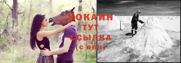 амф Надым