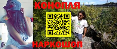 прущие крисы Изобильный