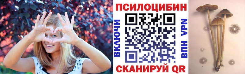 купить наркотик  Реж  Псилоцибиновые грибы ЛСД 